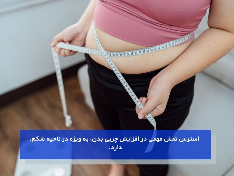 نقش استرس در افزایش چربی شکم