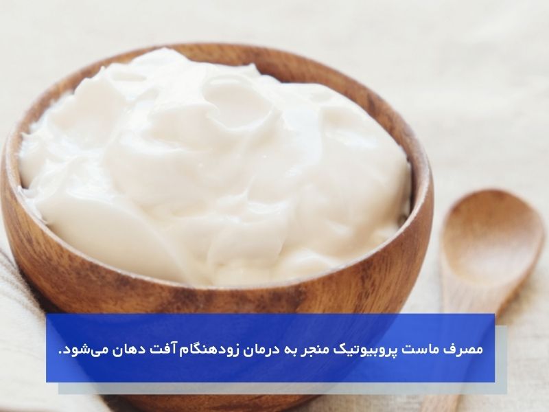 ماست پروبیوتیک برای درمان سریع زخم دهان