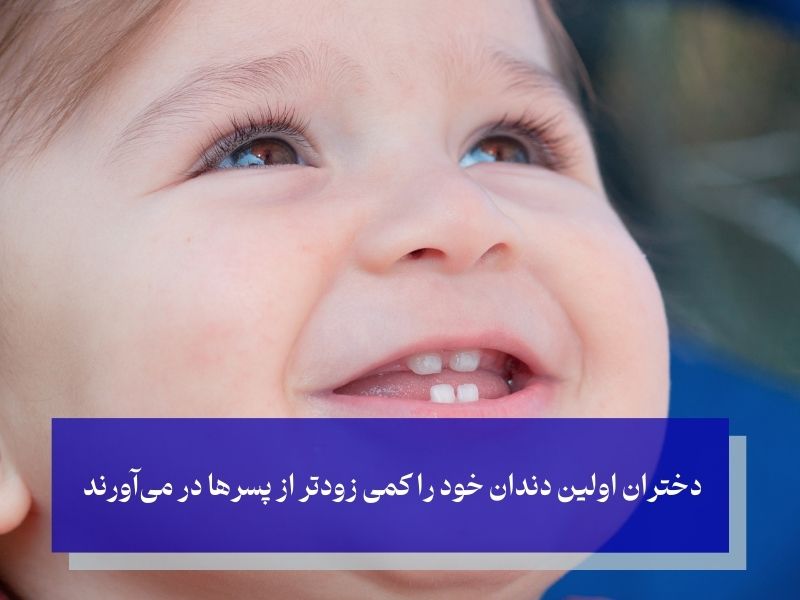 تقسیم‌بندی فرایند رویش دندان در نوزادان
