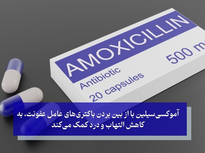 آموکسیسیلین رایجترین چرک خشک کن برای عفونت گوش کودکان و بزرگسالان
