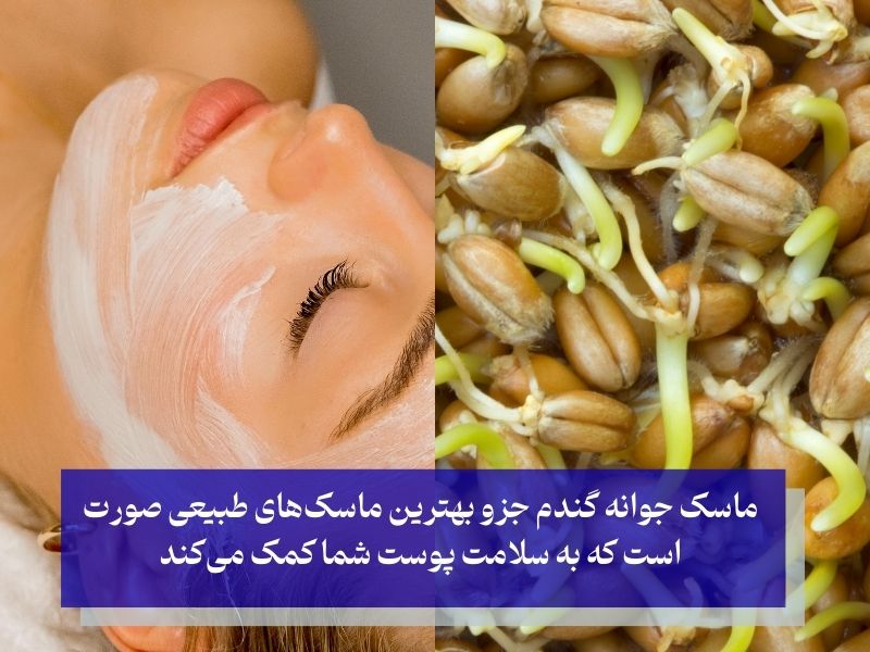 طرز تهیه ماسک جوانه گندم برای چاقی صورت