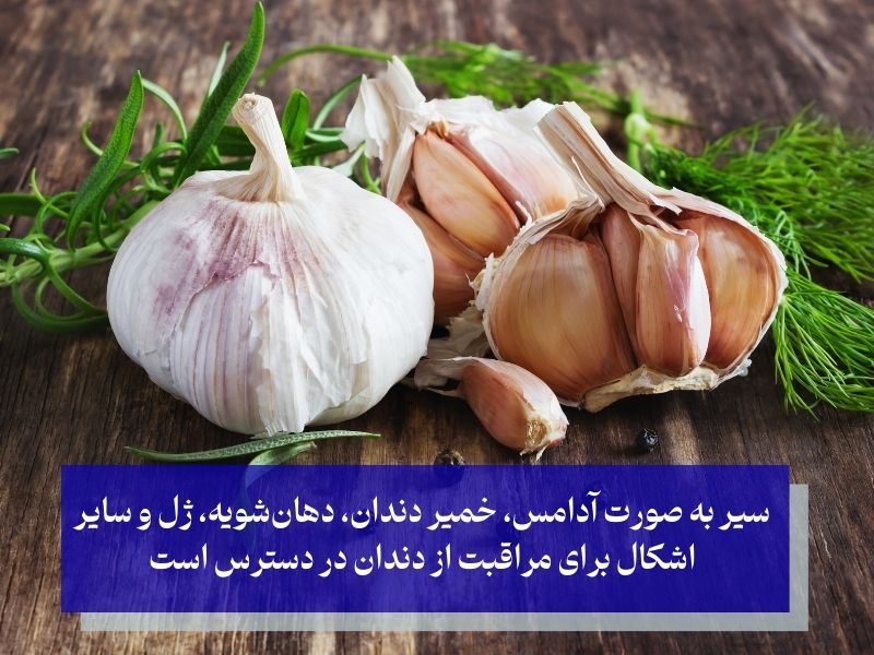 سیر برای درمان سریع دندان درد بزرگسالان