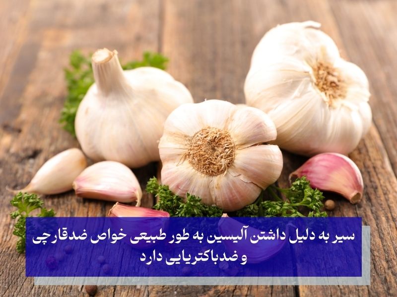 سیر قدیمی‌ترین روش درمان عفونت واژن
