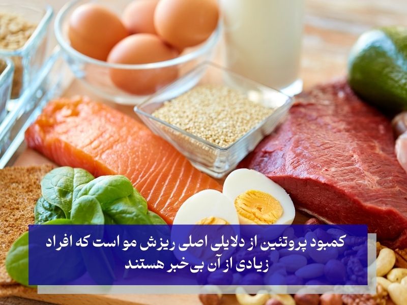 پروتئین و تقویت مو