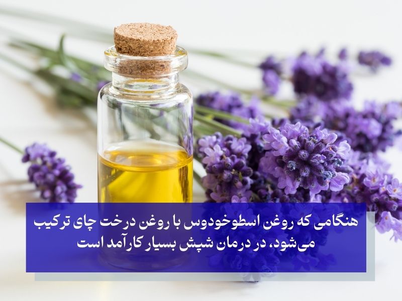 روغن اسطوخودوس و درمان شپش سر