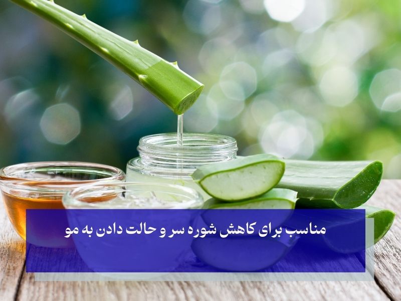 آلوئه ورا و کاهش ریزش مو