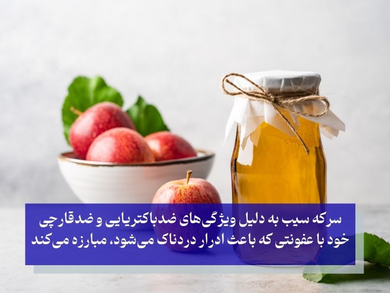 سرکه سیب راهی برای درمان سوش ادرار در خانه