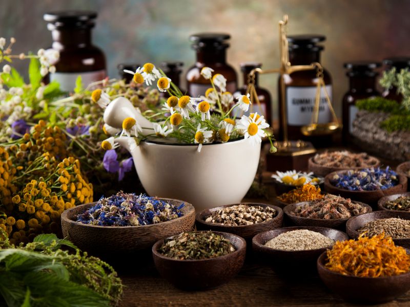 قوی‌ترین داروی گیاهی سنگ شکن