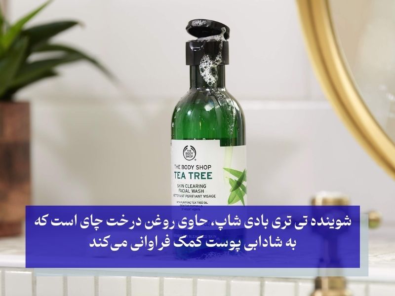 شوینده صورت تی تری بادی شاپ