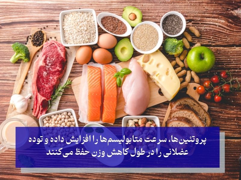 صبحانه پر پروتئین برای لاغری شکم