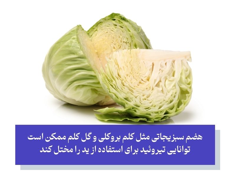 کلم یکی از مضرترین سبزیجات برای تیروئید کم کار
