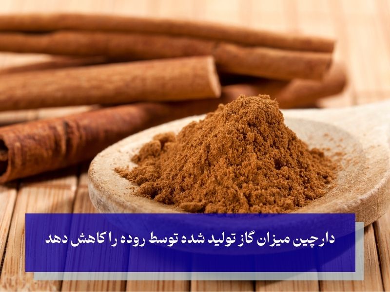 دارچین برای از بین بردن نفخ شکم