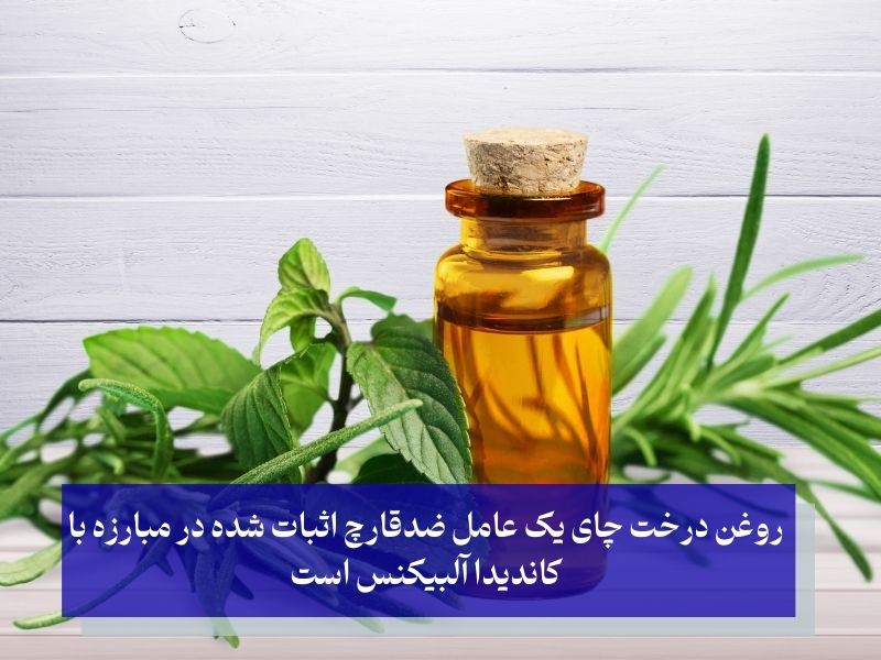 روغن درخت چای برای درمان عفونت رحم و کمر درد