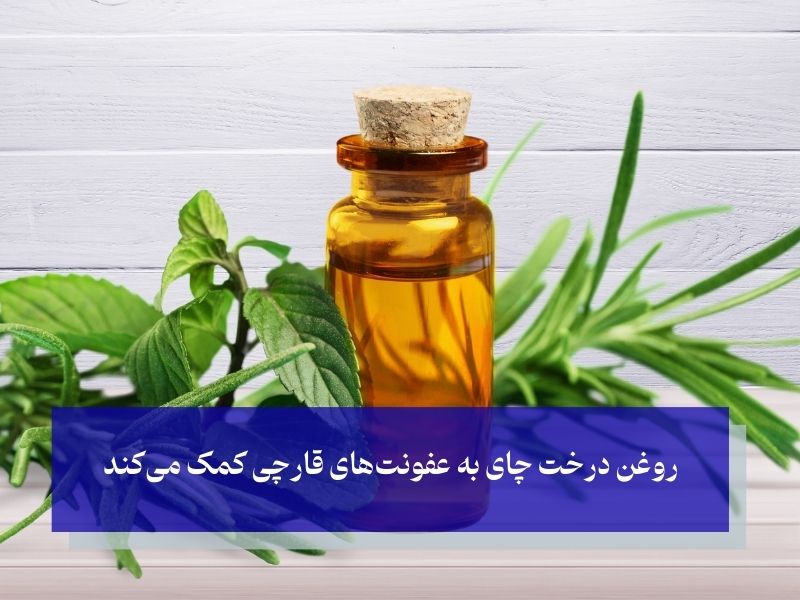 روغن درخت چای و درمان خانگی گوش درد
