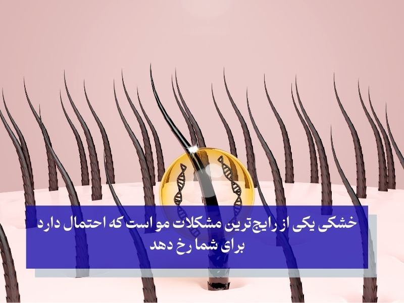 چه عواملی باعث خشکی مو میشود