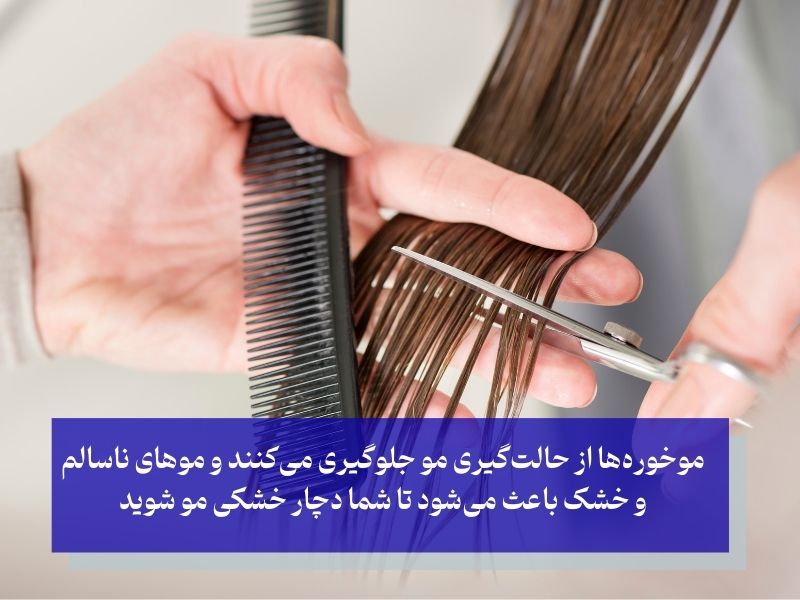 کوتاه کرد مو و جلوگیری از خشکی آن