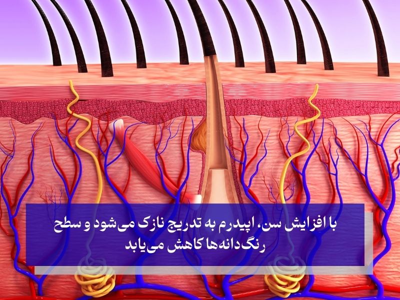 تغییرات پوست بر اثر پیری
