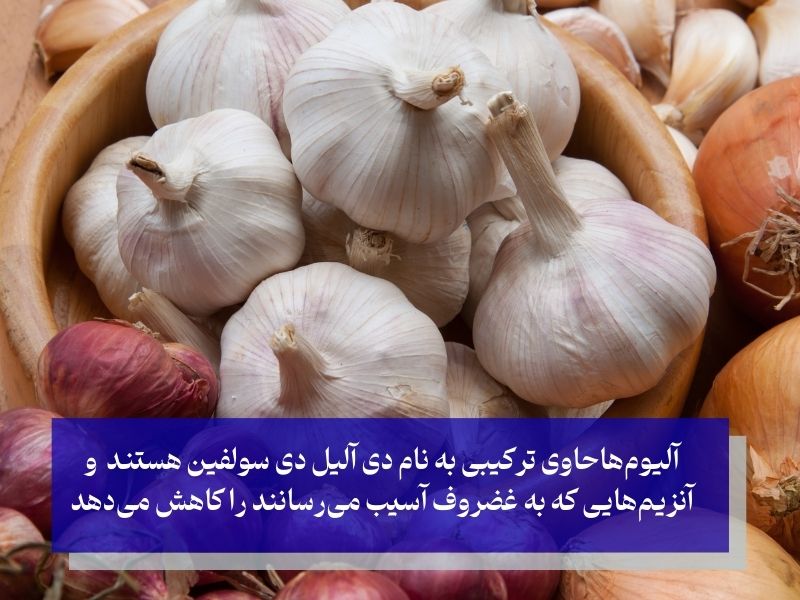 پیاز و سیر منبغ خوبی برای غضروف سازی و کاهش درد زانو