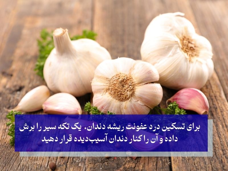 سیر برای درمان ریشه دندان در خانه