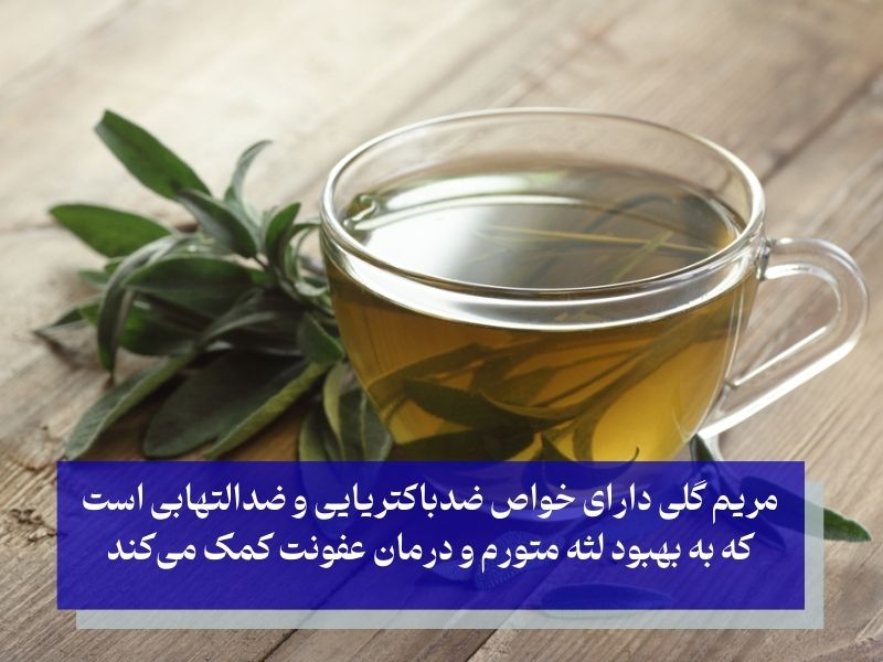 دهانشویه مریم گلی