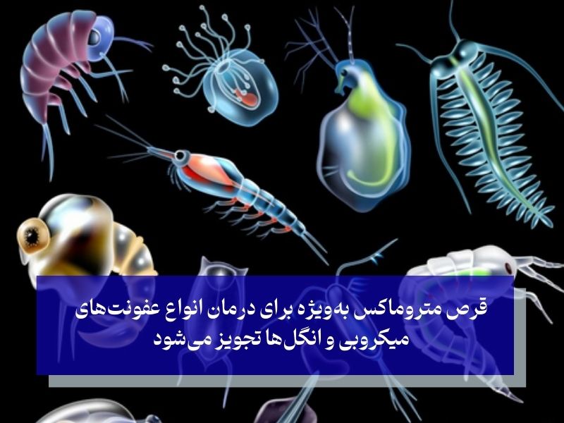 کاربردهای اصلی قرص متروماکس