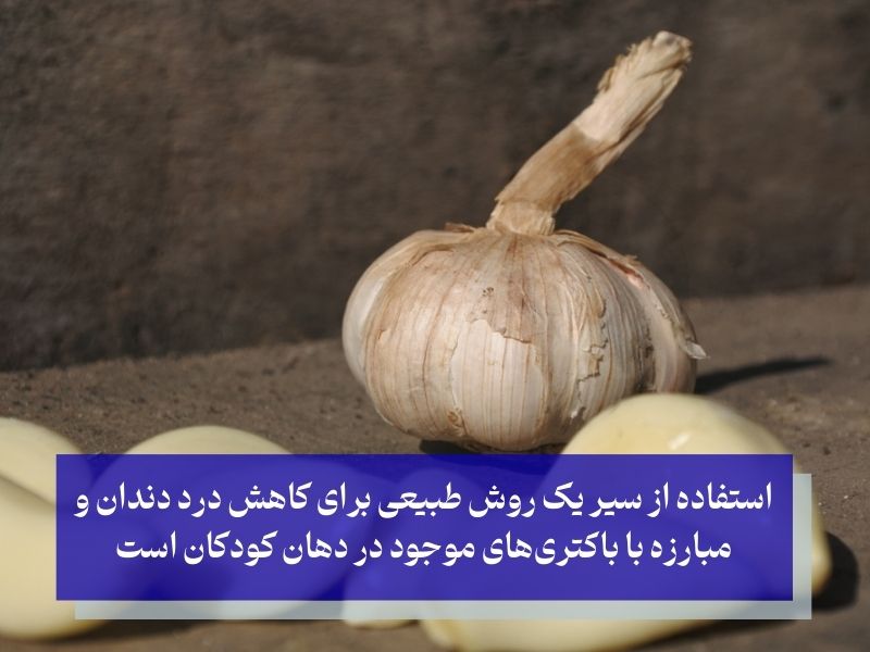 کاهش درد دندان با سیر