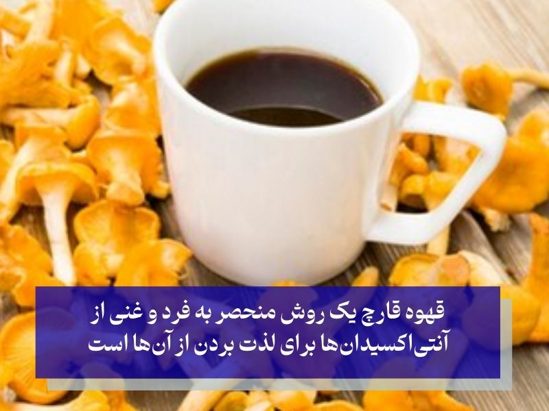 انواع قارچ؛ در فرم‌های مختلف غذایی؛ نوشیدنی و اسپری!