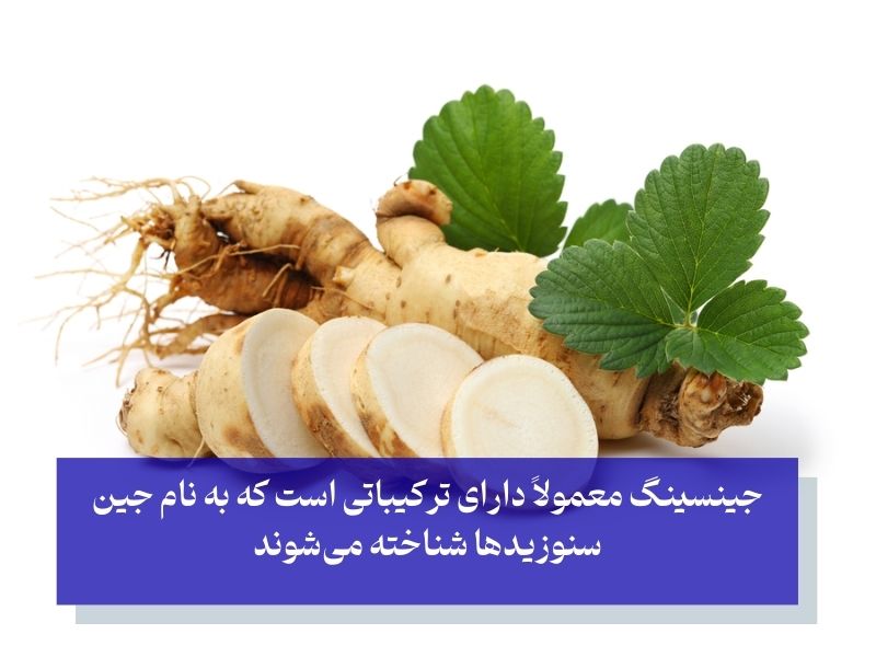 ترکیبات جنسینگ