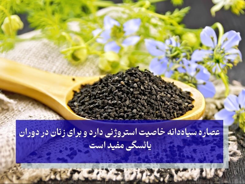 سیاه‌دانه؛ قرص تنظیم کننده هورمون زنان!