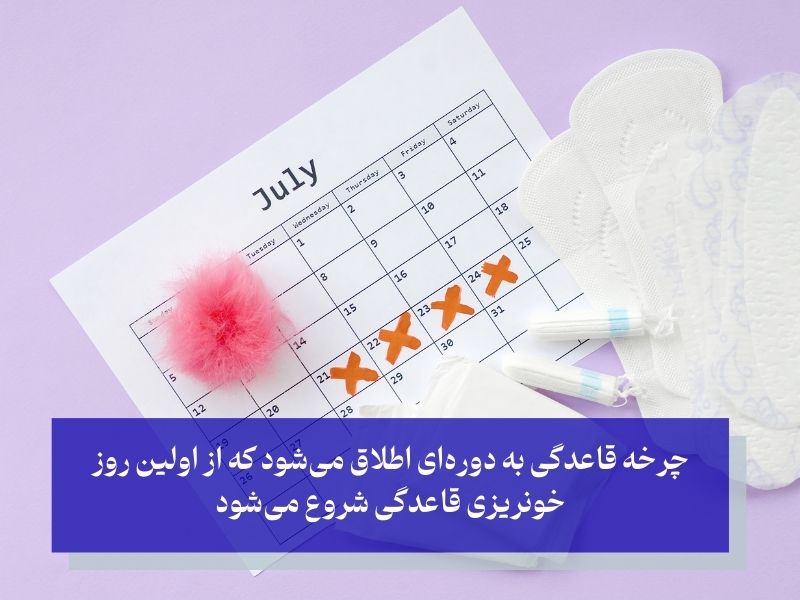 سیکل قاعدگی چیست و چگونه کار می‌کند