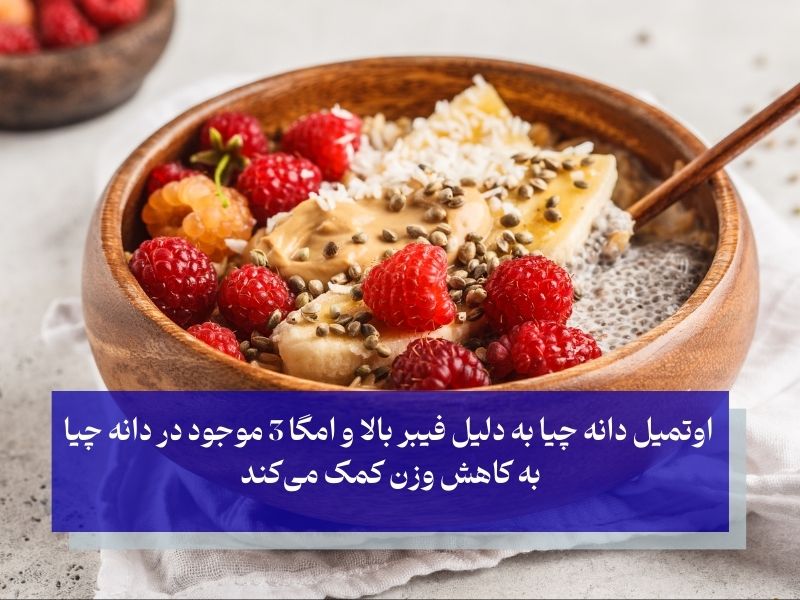 طرز تهیه اوتمیل برای لاغری با دانه چیا؛ به صورت مخلوط غلیظ میل کنید!