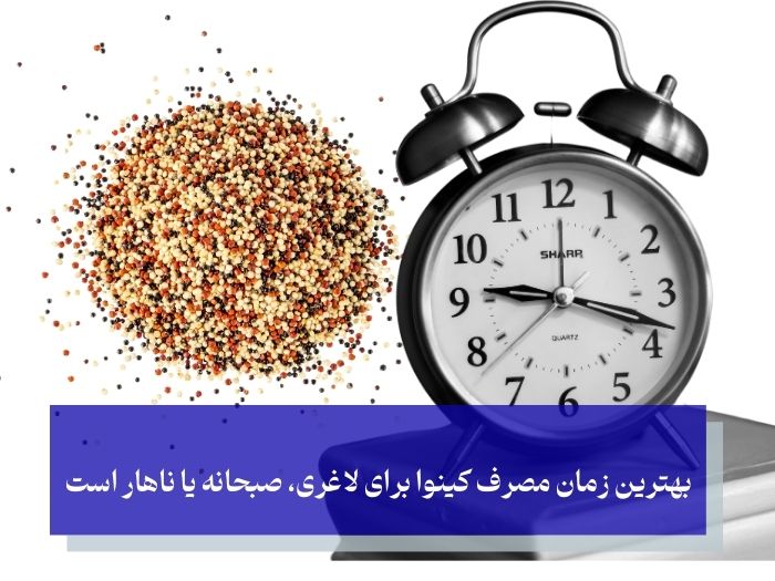 طریقه مصرف کینوا برای لاغری ؛ بهترین زمان و مقدار مصرف