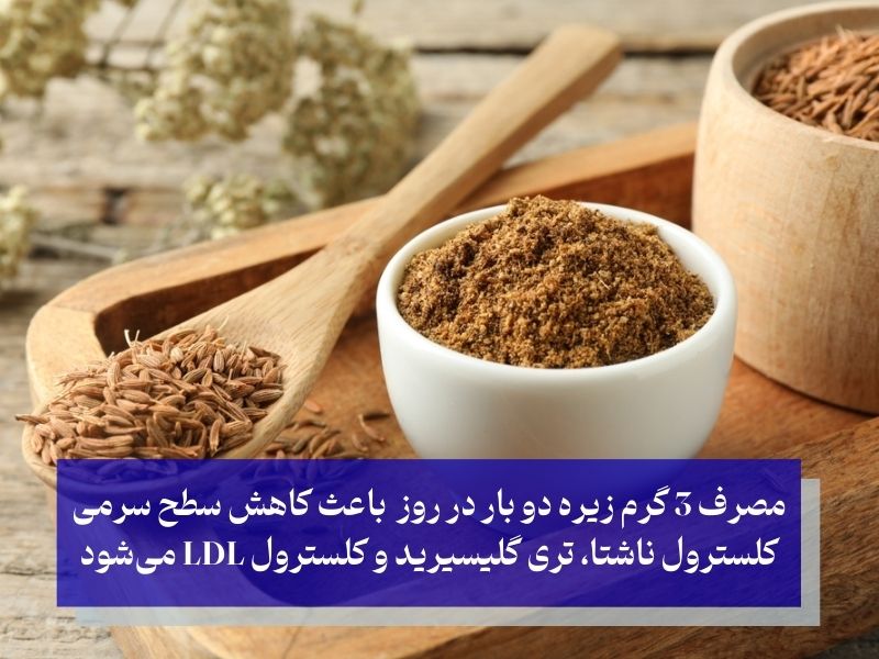 عرق زیره قاتل چربی خون