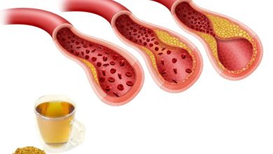 عرقیات مفید برای کاهش چربی خون