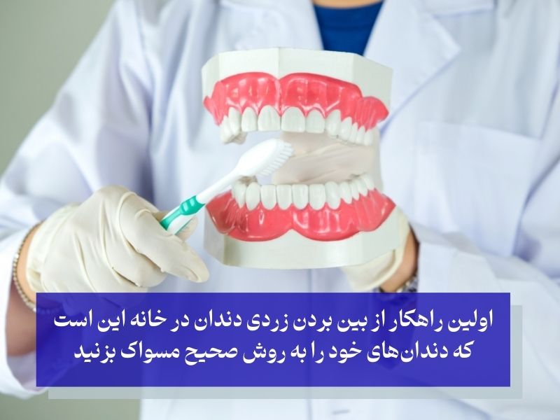 مسواک زدن صحیح اولین اقدام رفع زردی دندان