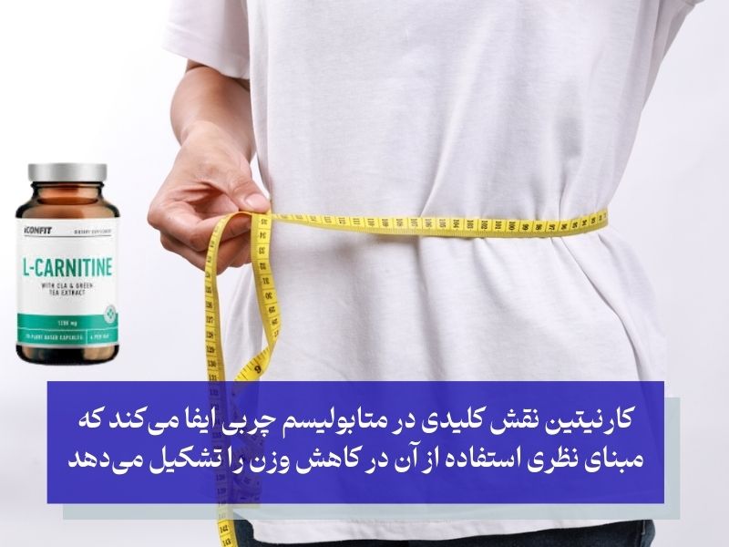 مکانیسم اثر کارنیتین برای لاغری