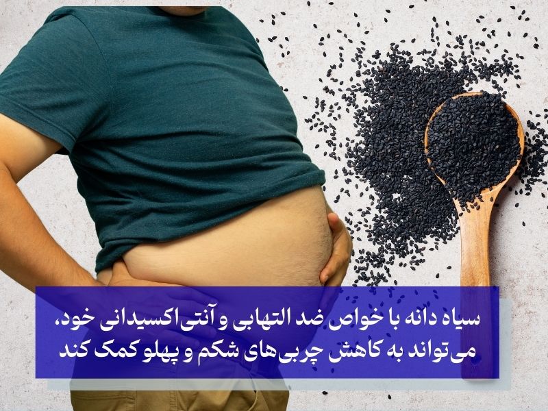 مکانیسم اثر؛ تاثیر سیاه دانه در کاهش چربی‌های شکم و پهلو چیست؟