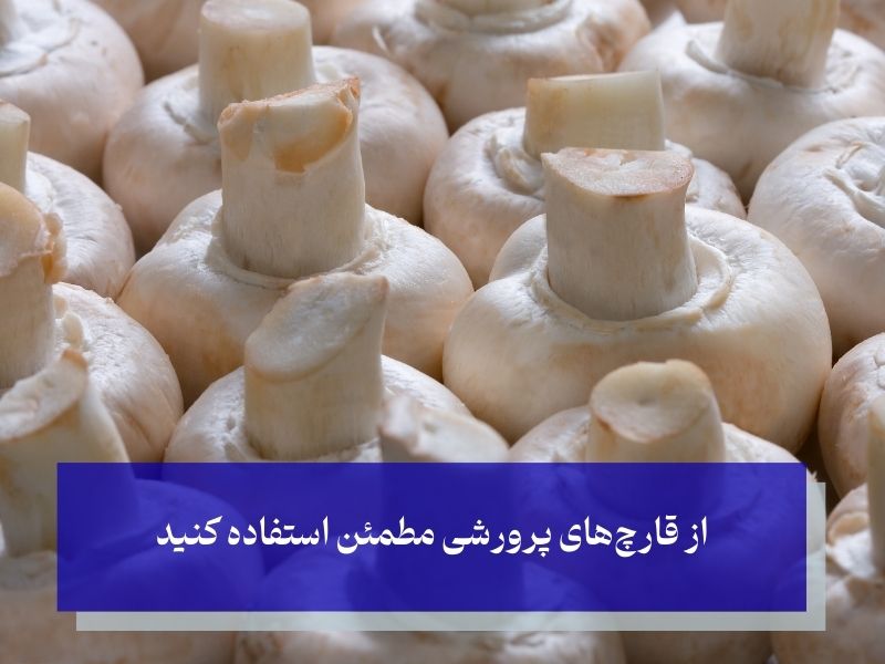 هشدارهای لازم برای مصرف قارچ