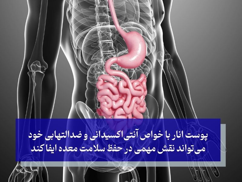 پوست انار برای عفونت معده