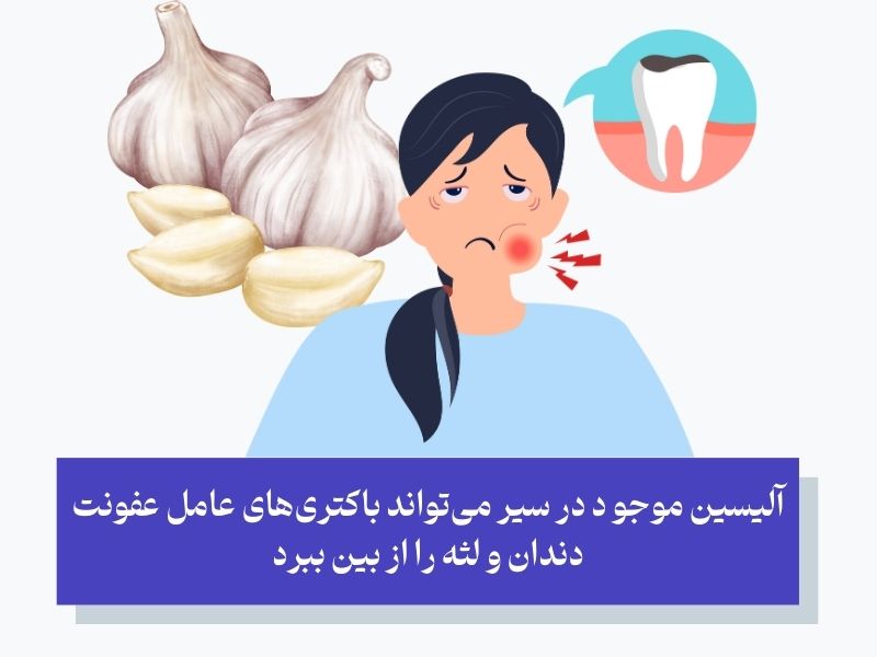 چرا سیر برای درمان دندان درد مؤثر است؟