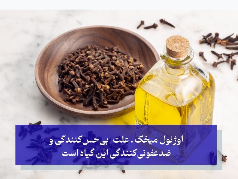 چرا میخک برای دندان درد مفید است؟