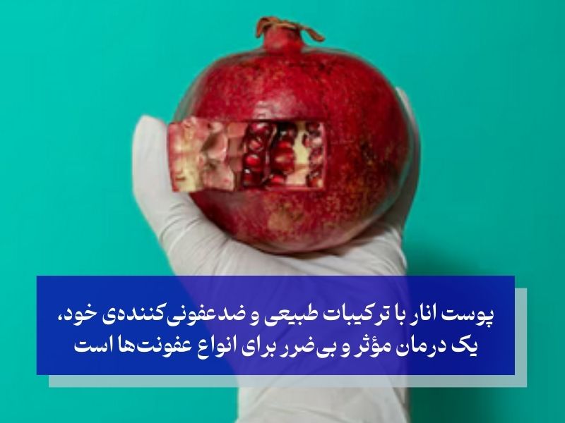 چرا پوست انار برای عفونت مؤثر است؟
