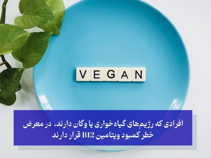 گروه‌های پرخطر کمبود ویتامین B12