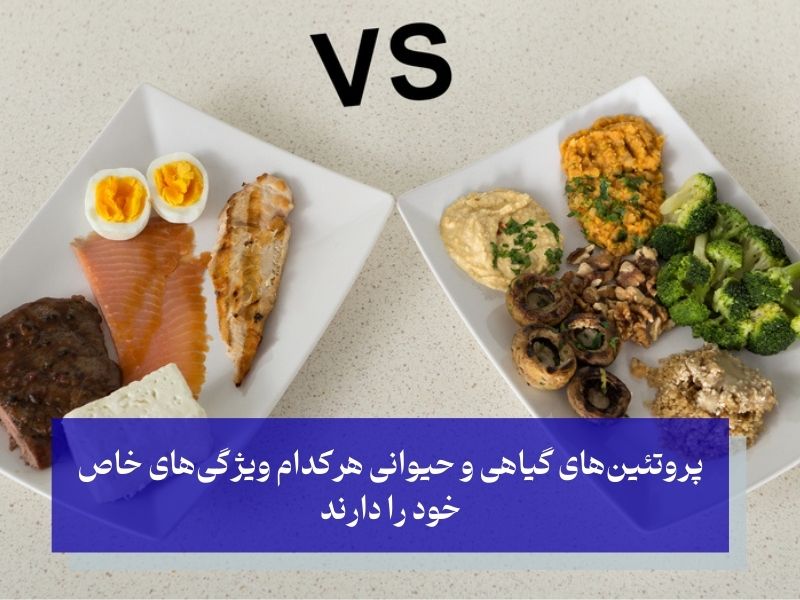 پروتئین گیاهی در برابر پروتئین حیوانی