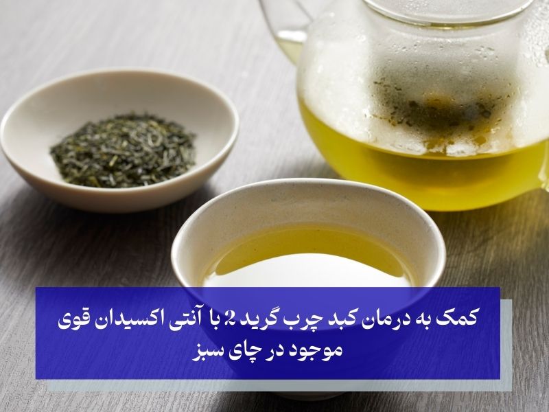 درمان کبد چرب گرید ۲ با گیاهان دارویی