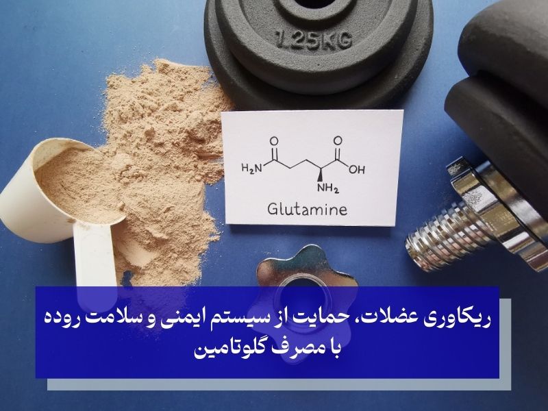 گلوتامین، عامل رشد و ریکاوری عضلات پس از تمرین