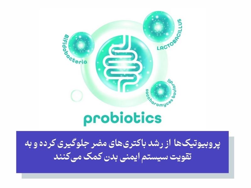 تأثیر پروبیوتیک‌ها بر درمان عفونت دندان؛ تقویت فلور میکروبی دهان