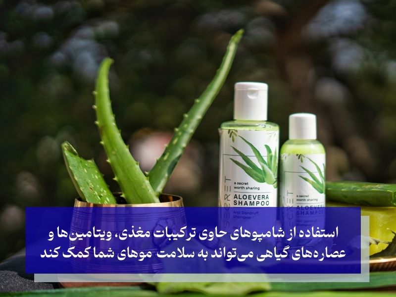 راهنمای انتخاب بهترین شامپو برای موهای چرب و ریزش مو