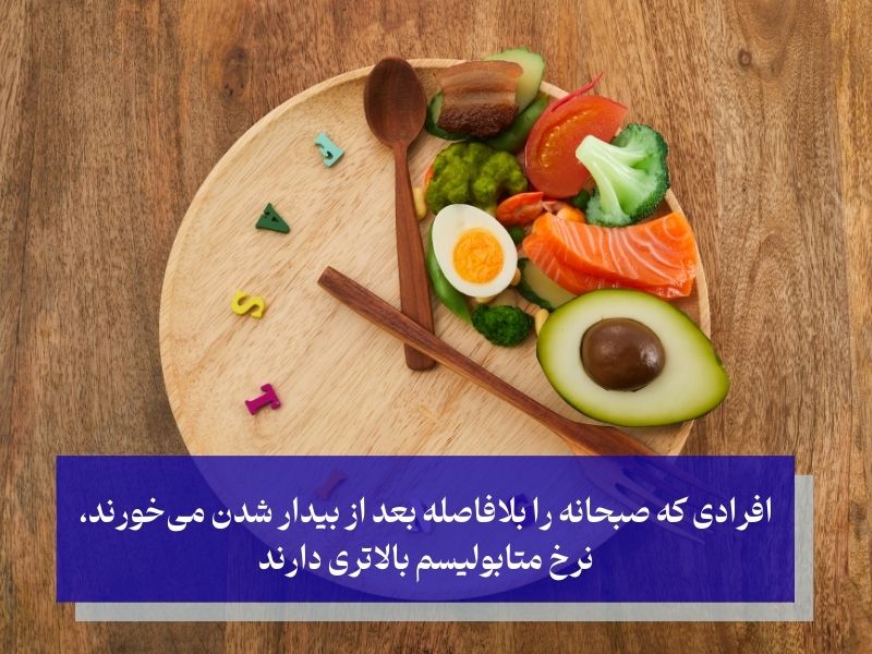 زمان خوردن صبحانه و تأثیر آن بر متابولیسم بدن