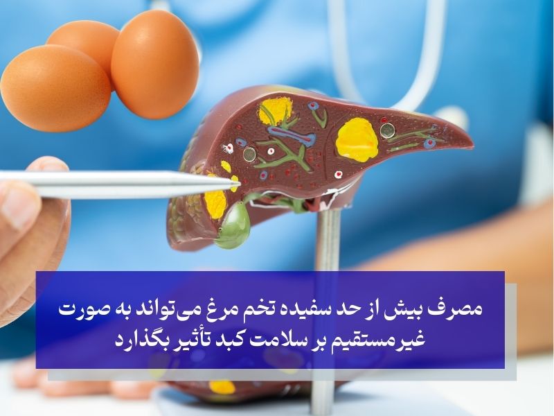 سفیده تخم مرغ و کبد چرب چه ارتباطی دارند